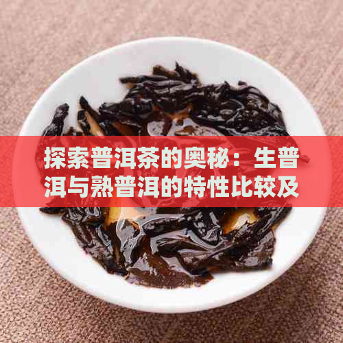 探索普洱茶的奥秘：生普洱与熟普洱的特性比较及品饮指南