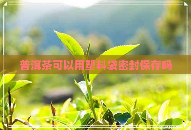 普洱茶可以用塑料袋密封保存吗