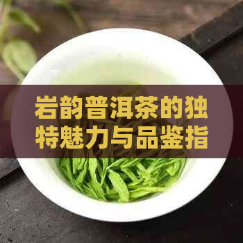 岩韵普洱茶的独特魅力与品鉴指南