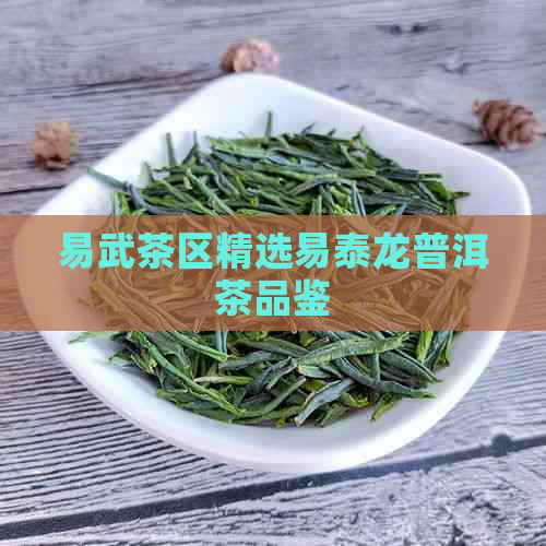 易武茶区精选易泰龙普洱茶品鉴