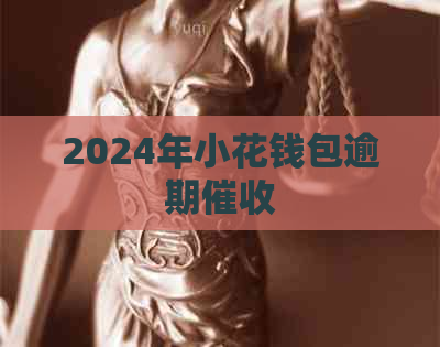 2024年小花钱包逾期