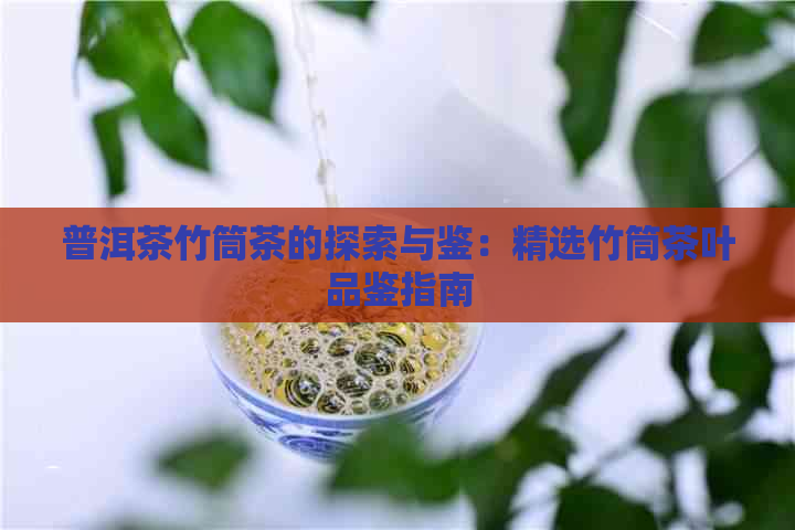 普洱茶竹筒茶的探索与鉴：精选竹筒茶叶品鉴指南