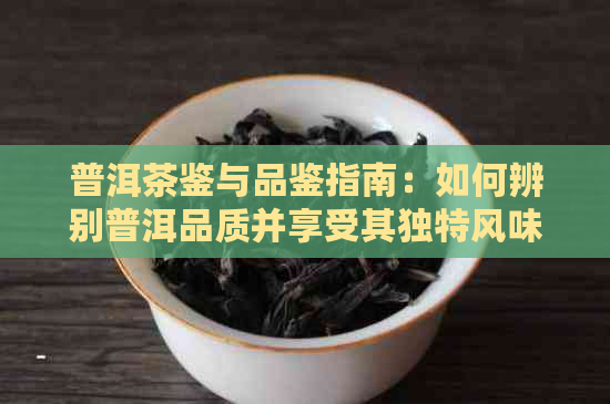 普洱茶鉴与品鉴指南：如何辨别普洱品质并享受其独特风味？