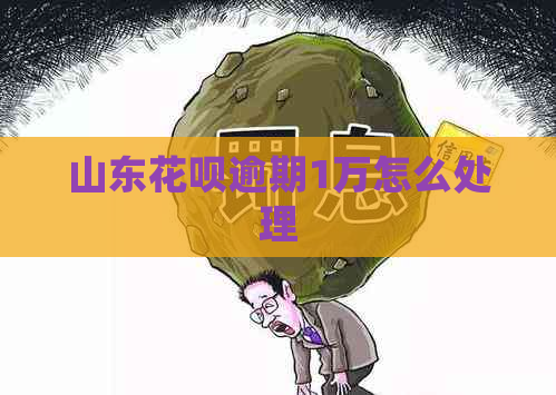 山东花呗逾期1万怎么处理