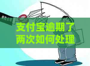 支付宝逾期了两次如何处理