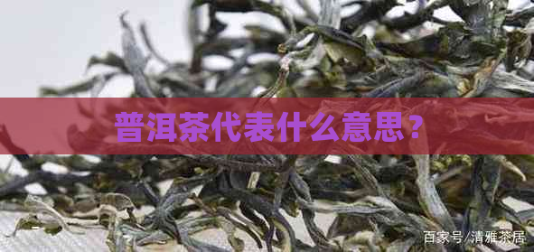 普洱茶代表什么意思？