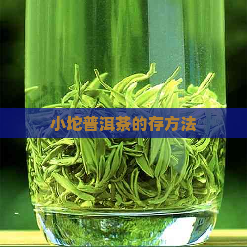 小坨普洱茶的存方法