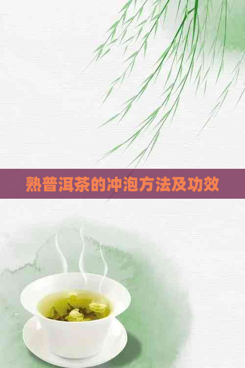 熟普洱茶的冲泡方法及功效