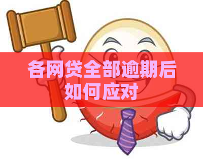 各网贷全部逾期后如何应对