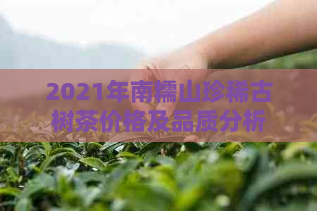 2021年南糯山珍稀古树茶价格及品质分析