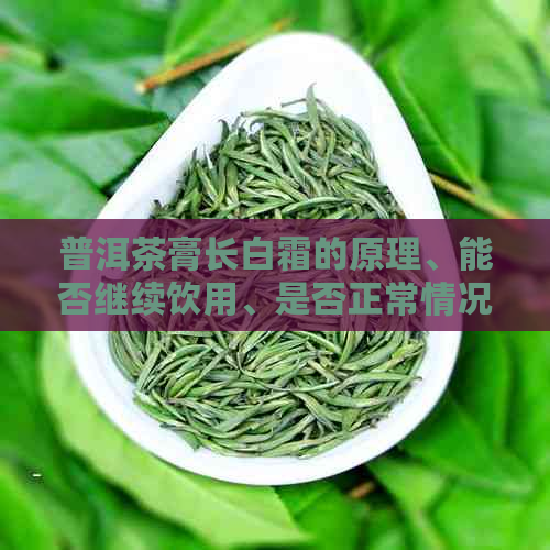 普洱茶膏长白霜的原理、能否继续饮用、是否正常情况以及是否影响品质的探讨