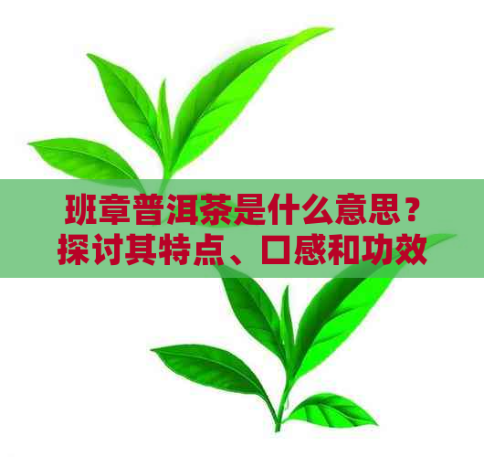 班章普洱茶是什么意思？探讨其特点、口感和功效作用