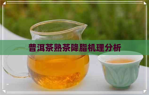 普洱茶熟茶降脂机理分析