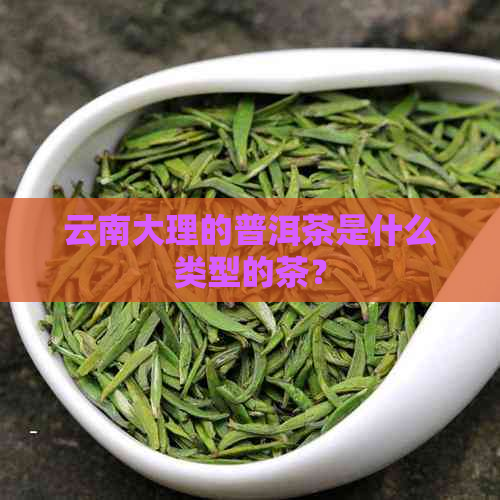 云南大理的普洱茶是什么类型的茶？