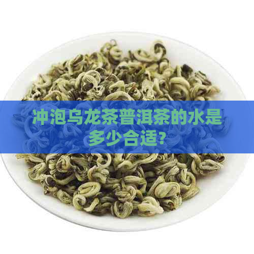 冲泡乌龙茶普洱茶的水是多少合适？