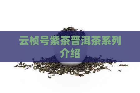 云桢号紫茶普洱茶系列介绍