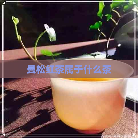 曼松红茶属于什么茶