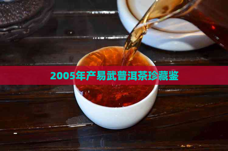 2005年产易武普洱茶珍藏鉴