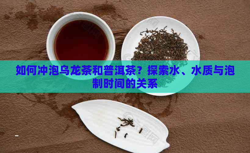 如何冲泡乌龙茶和普洱茶？探索水、水质与泡制时间的关系