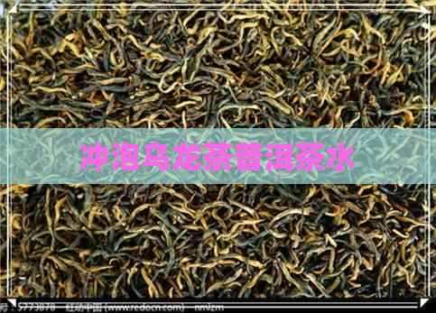 冲泡乌龙茶普洱茶水