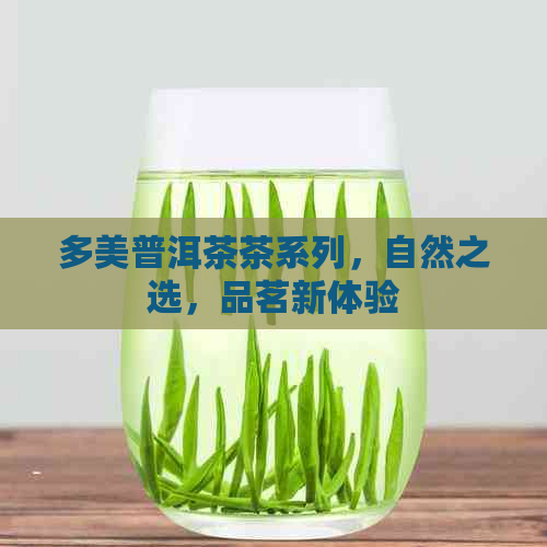 多美普洱茶茶系列，自然之选，品茗新体验