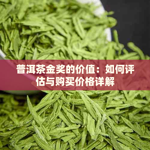 普洱茶金奖的价值：如何评估与购买价格详解