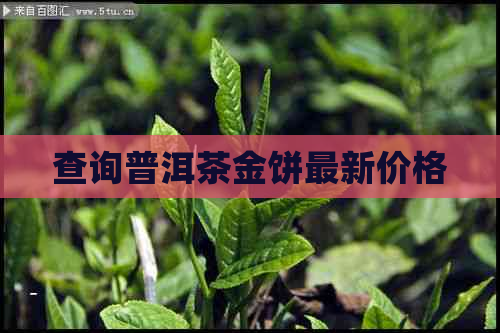 查询普洱茶金饼最新价格