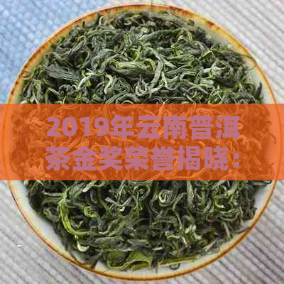 2019年云南普洱茶金奖荣誉揭晓：探索茶界的顶级成就