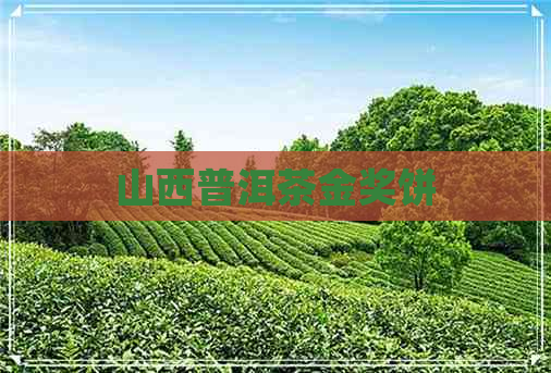 山西普洱茶金奖饼