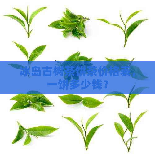 冰岛古树茶饼茶价格表，一饼多少钱？