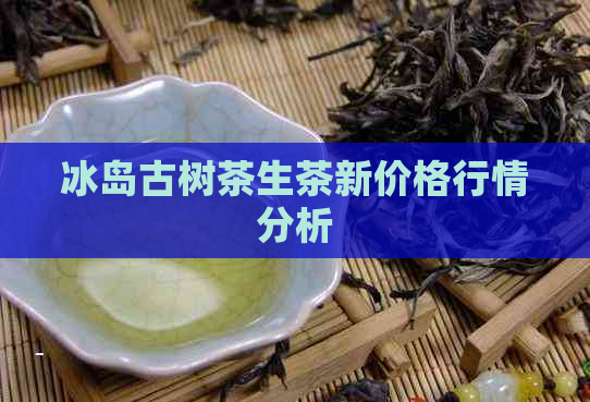 冰岛古树茶生茶新价格行情分析