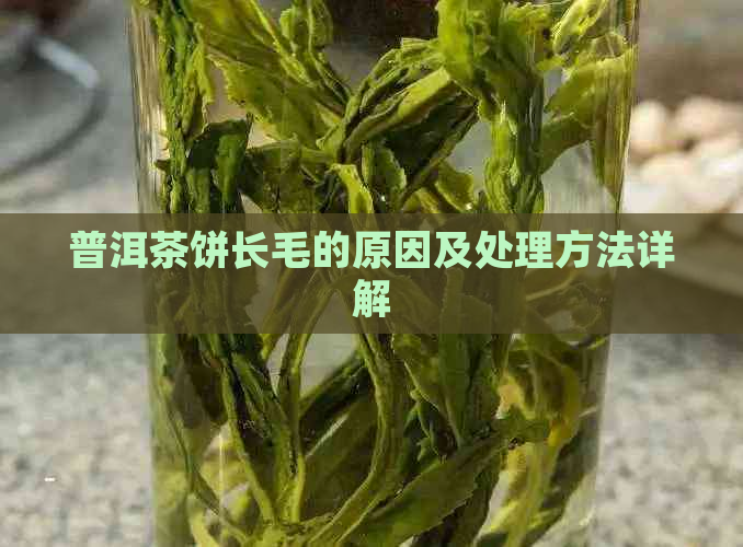 普洱茶饼长毛的原因及处理方法详解