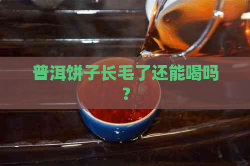 普洱饼子长毛了还能喝吗？