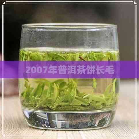 2007年普洱茶饼长毛