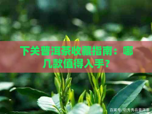 下关普洱茶收藏指南：哪几款值得入手？