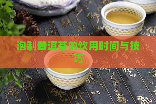 泡制普洱茶的饮用时间与技巧