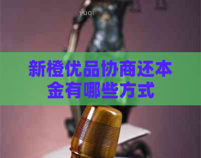 新橙优品协商还本金有哪些方式