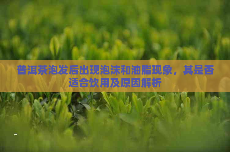 普洱茶泡发后出现泡沫和油脂现象，其是否适合饮用及原因解析