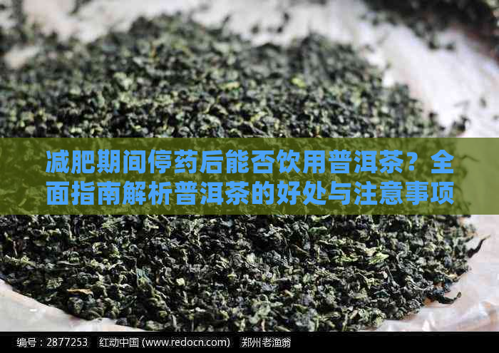 减肥期间停药后能否饮用普洱茶？全面指南解析普洱茶的好处与注意事项