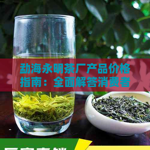 勐海永明茶厂产品价格指南：全面解答消费者疑问