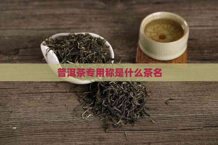 普洱茶专用称是什么茶名