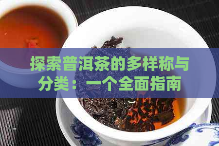 探索普洱茶的多样称与分类：一个全面指南