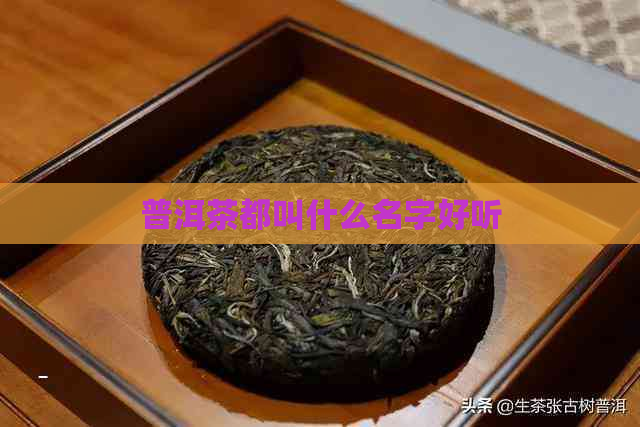 普洱茶都叫什么名字好听