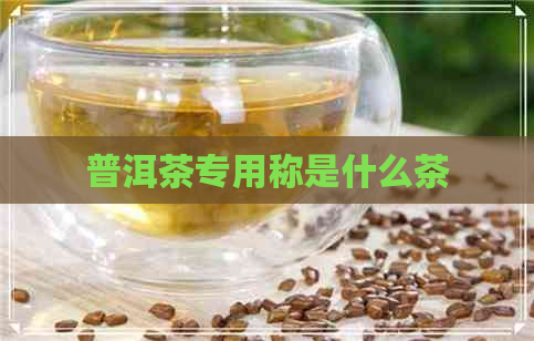 普洱茶专用称是什么茶