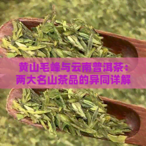 黄山毛峰与云南普洱茶：两大名山茶品的异同详解