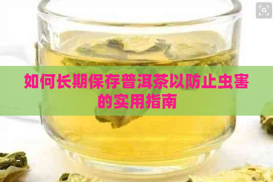 如何长期保存普洱茶以防止虫害的实用指南