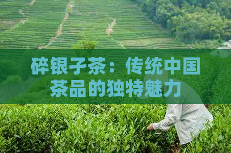 碎银孑茶：传统中国茶品的独特魅力