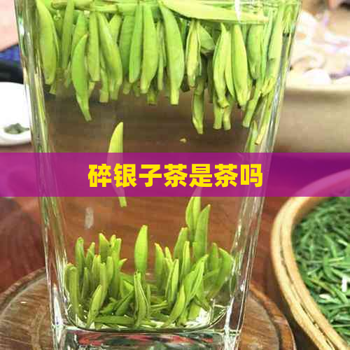 碎银子茶是茶吗