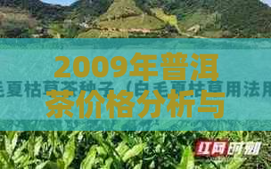 2009年普洱茶价格分析与市场趋势