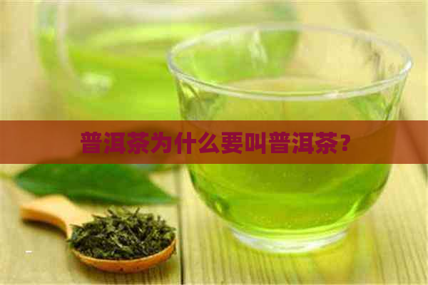 普洱茶为什么要叫普洱茶？